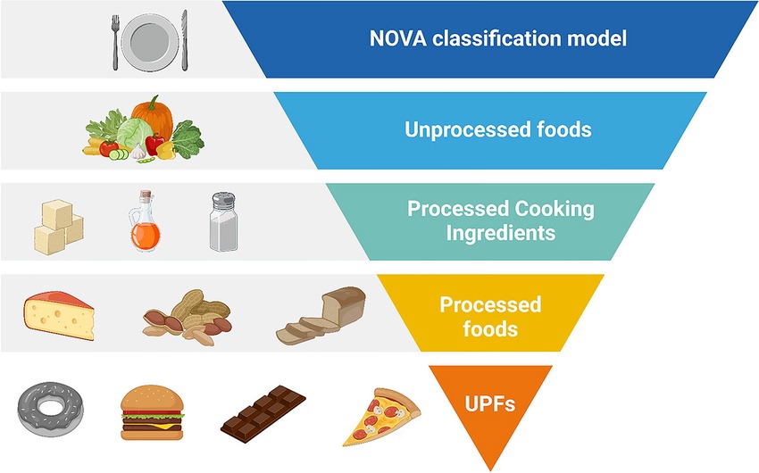 Nova food